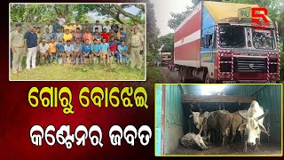 ୭୯ ଥାନା ସମ୍ମୁଖରୁ ଦୁଇଟି ଗୋରୁ ବୋଝେଇ କଣ୍ଟେନର ଜବତ