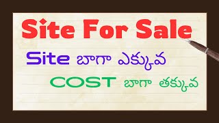 #kakinada లో Site చాలా ఎక్కువ - రేట్ చాలా తక్కువ || For Sale || G Y Tv Property News