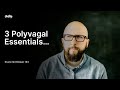 Polyvagal Theory for Total Beginners (What I Found the Most Helpful) #polyvagaltheory