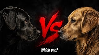 Types of Labrador Dogs Explained