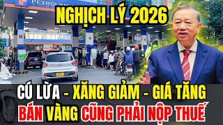 Tin Tức Thời Sự 24h Mới Nhất Hôm Nay: Ai Đang Hưởng Lợi Khi Thuế Phí Được Cắt Giảm?