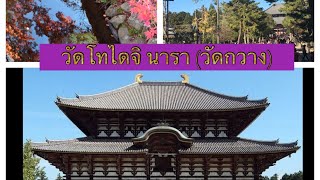 Todaiji Temple  วัดโทไดจิ (วัดกวาง จังหวัด นารา) 🇯🇵