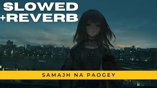 Samajh Na Paaogey [Slowed+ Reverb] Stebin Ben Heli Daruwala (Lyrics)
