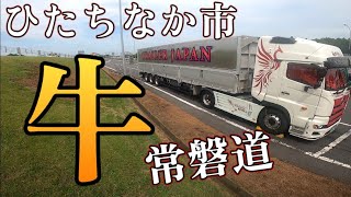 【長距離トレーラー運転手】ひたちなか市へ@miyatanchannel