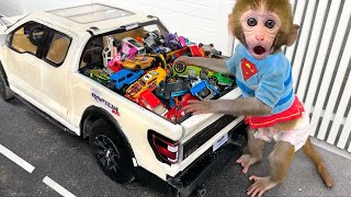Monkey Baby Bon Bon drives a car and plays with puppy and duckling by the track