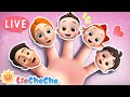 🔴Baby Shark | ABC Song - Nursery Rhymes & Kids Songs - LiaChaCha Top Videos for Babies