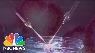 Medical Facilities Suspend Fertility Treatments Due To COVID-19 Crisis | NBC News NOW
