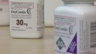 Federal Lawmakers Discuss Opioid Abuse In Minnesota
