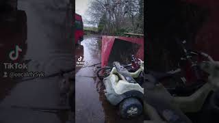 Chickens flying over a flooded garden after 14 seconds of video