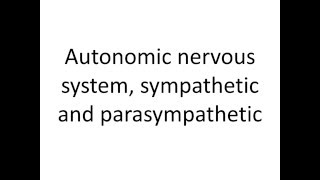 Nervous system 7, Sympathetic and parasympathetic