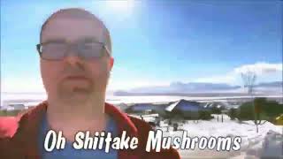 Oh Shiitake Mushrooms Intro (2016 - 2023)