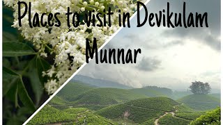 മൂന്നാറിലെ കാഴ്ചകൾ കാണാം ! Munnar| Devikulam| Kerala