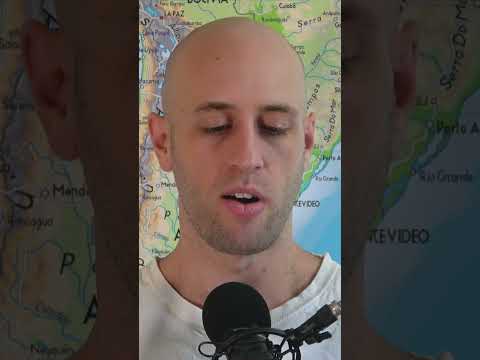 What are the basic principles of animalism?