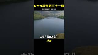 【UMA系列】第三十一期：蘇門答臘金獅，一次體驗西高的美味 #UMA系列 #未解之谜 #怪物传说 #水怪 #恶魔