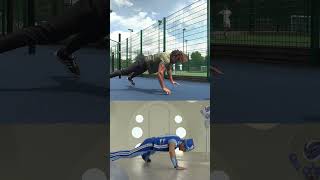 Sportacus Push Up Challenge Lazy Town