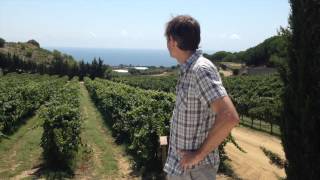 Winerist and Catalunya Wine Teaser