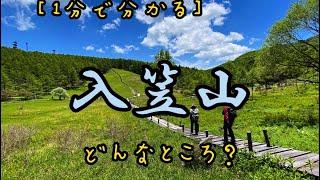 【登山ルート一気見!!】入笠山　日帰りで まるで尾瀬のような大湿原へ！#入笠山