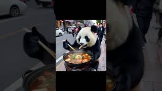 A giant panda is eating hot pot with chopstics -shorts