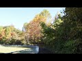 日本の秋【ある公園の紅葉】｜autumn in japan 【autumn leaves in the park】2021 11 3