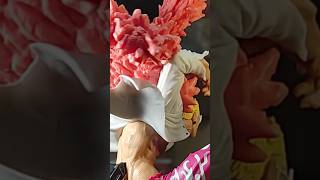 Unboxing Banpresto One Piece Big World Figure Colosseum 4 Vol 1 Donquixote Doflamingo #banpresto