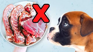 Raw Feeding Puppies | Do's \u0026 Dont's