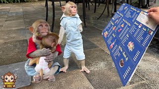 Super smart! YiYi protects baby monkey when meeting strangers