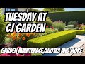 Tuesday Surprises at CJ Garden services with Kress Power Tools