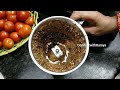 ஆந்திரா ஸ்டைலில் புதினா பச்சடி pudhinapachadi pudhuina mint cookingvlog @connectwithramya