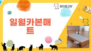 일월카본매트 사용 후기 및 추천 리뷰!