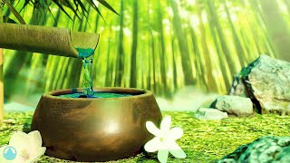 12 Hours Serene Bamboo Fountain Sounds and Relaxing Music for Stress Relief