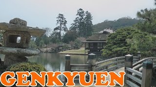 Genkyuen Garden, Hikone Shiga - 玄宮園 彦根 - Japan As It Truly Is