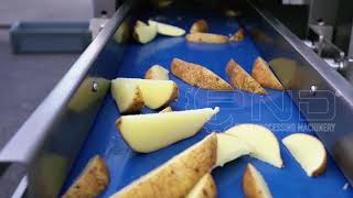 Universal Cutting Machine mod. SS8 - Potatoes Wedges