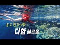 [은경씨 놀다] 98화 -  최근 10년간 150여명의 다이버가 사망한 것으로 알려진 곳에서  겁도 없이  / 나이 환갑에  블루홀에서 프리다이빙   / 다이빙의 성지 블루홀