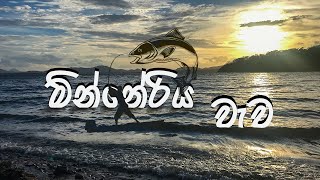 Minneriya Wawa | Travel VLOG #02 | Sri Lanka