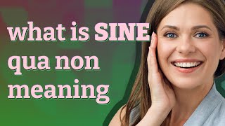 Sine qua non | meaning of Sine qua non