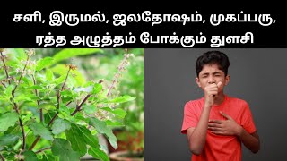 சளி, இருமல், ஜலதோஷம், முகப்பரு போக்கும் துளசி | sali irumal vaithiyam in tamil | இயற்கை மருத்துவம்