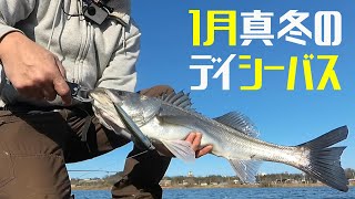 1月真冬のデイシーバス　－　霞ヶ浦水系・北浦【シーバス・アメリカナマズ・バス】－やまいぬ【釣りと歌】チャンネル