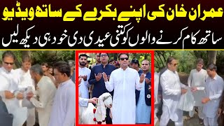 BREAKING News!!! - Imran Khan Loving His Goat | Video Goes Viral | Capital TV