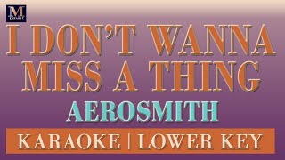 I Don't Wanna Miss A Thing - Karaoke (Aerosmith - Lower Key)