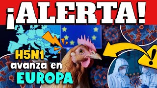 ¡ALERTA! EUROPA ADVIERTE SITUACIÓN SANITARIA POR AVANCE DE GRIPE AVIAR - ¿CONFINAMIENTO DE AVES?