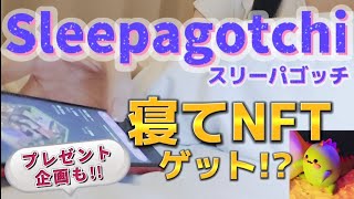 【寝て稼ぐ?!】NFTゲーム『Sleepagotchi(スリーパゴッチ)』の始め方【α版への参加方法】