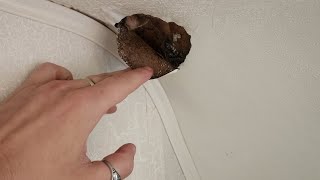 A leak in my RV???