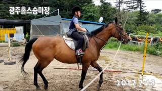 20170718광주승마장수업