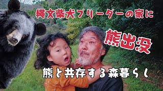 熊と共存する森暮らし一家。我が家に熊来てます。