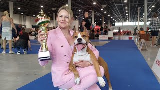 FCI 10 breeds European dog show 2023! Budapest.