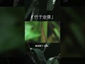 你听过“竹子定律”吗？ alicekhoo 生命经理师 nirvana 富贵山庄 竹子定律