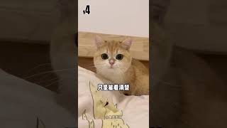 10个有趣猫咪热知识 猫咪冷知识，你知道几个？#猫咪冷知识 #养猫真相 #猫咪鼻纹 #新手养猫 #宠物知识