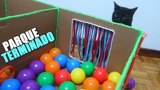 PARQUE DE BOLAS PARA GATOS FINALIZADO