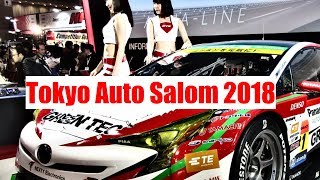 Tokyo Auto Salon 2018 at Makuhari Messe in Chiba, JAPAN