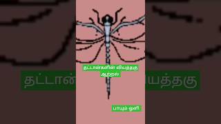 தட்டான்களின் வியத்தகு ஆற்றல்#அறிவியல் #trending#தமிழ்#sciencefacts #shorts#tamil#history #வரலாறு